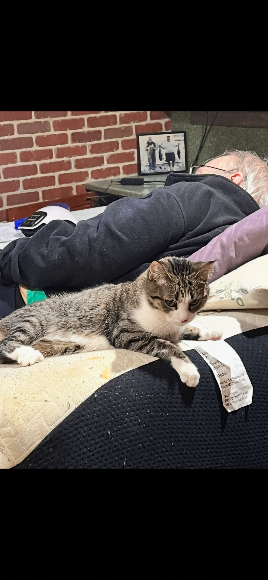 Quiet moments at home with a little companion
