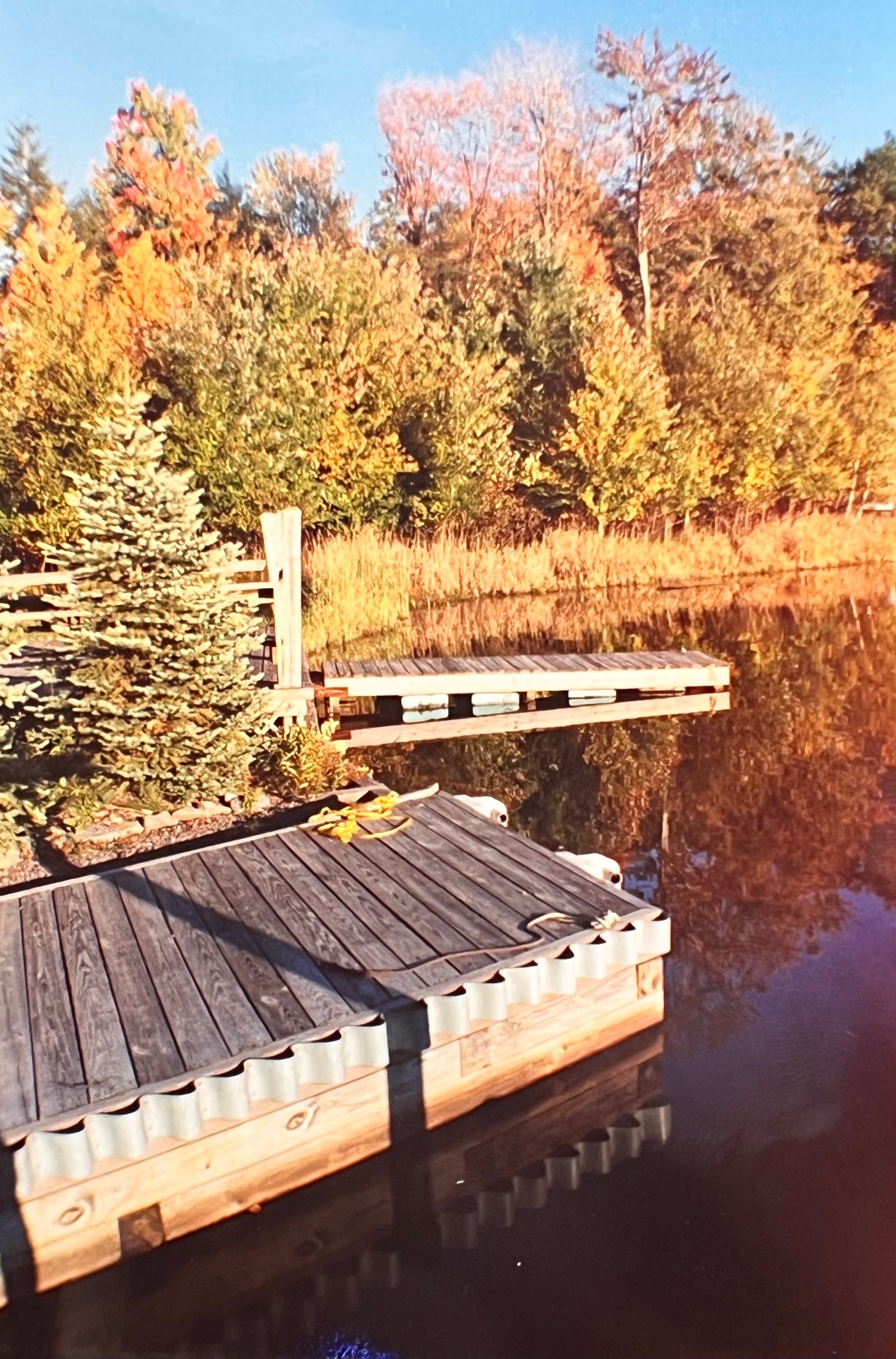 The floating dock at first light — glassy water, autumn pines, and quiet the way Richard designed it