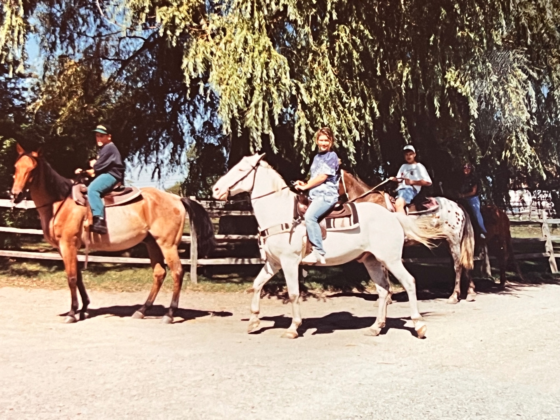 The trail ride begins — Chris, Jason, and the cousins on horseback, willow branches swaying overhead