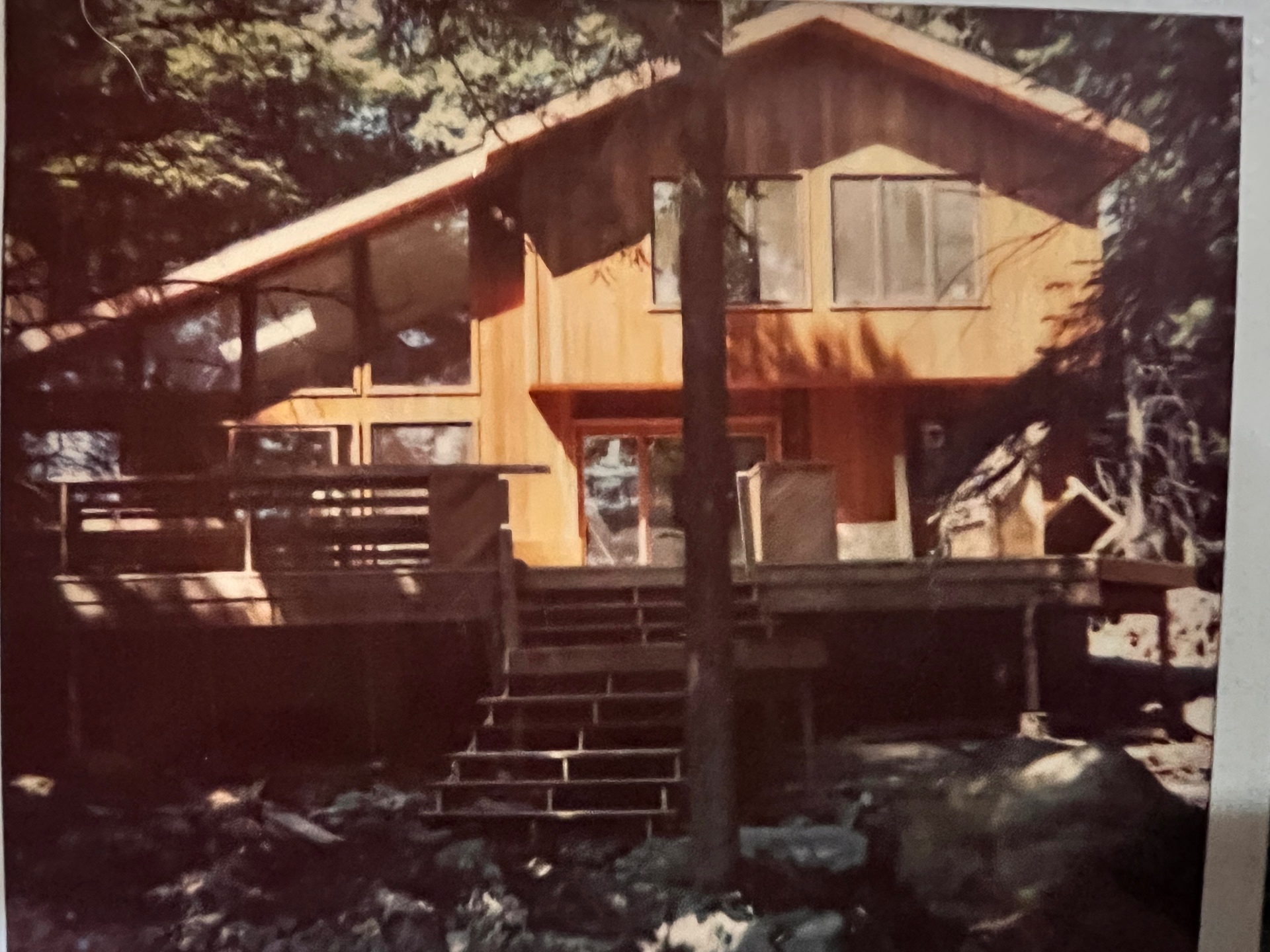 The cabin in the woods