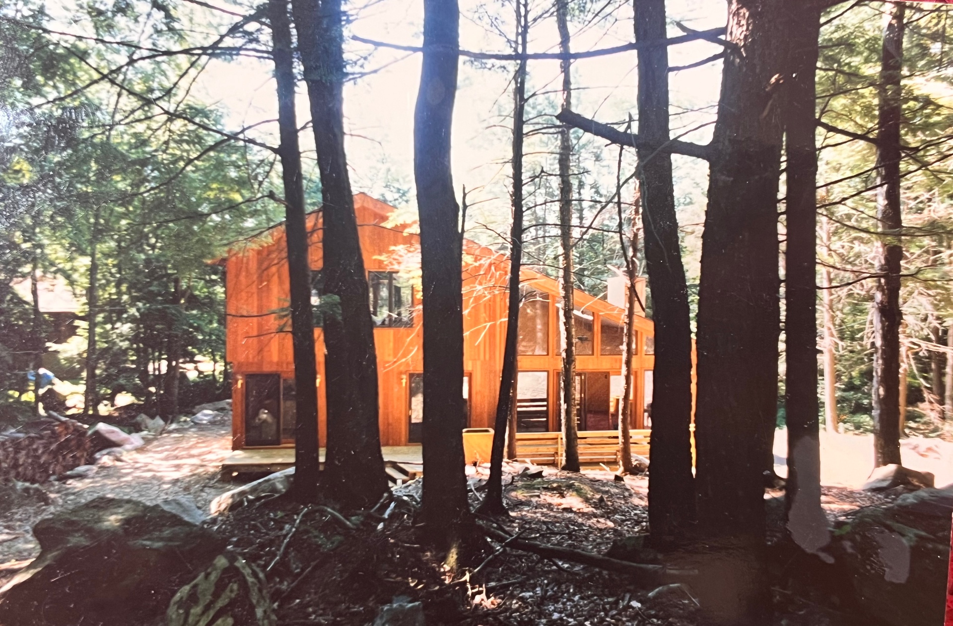 The Hideout through the pines — Richard's cedar dream rising in the Poconos woods
