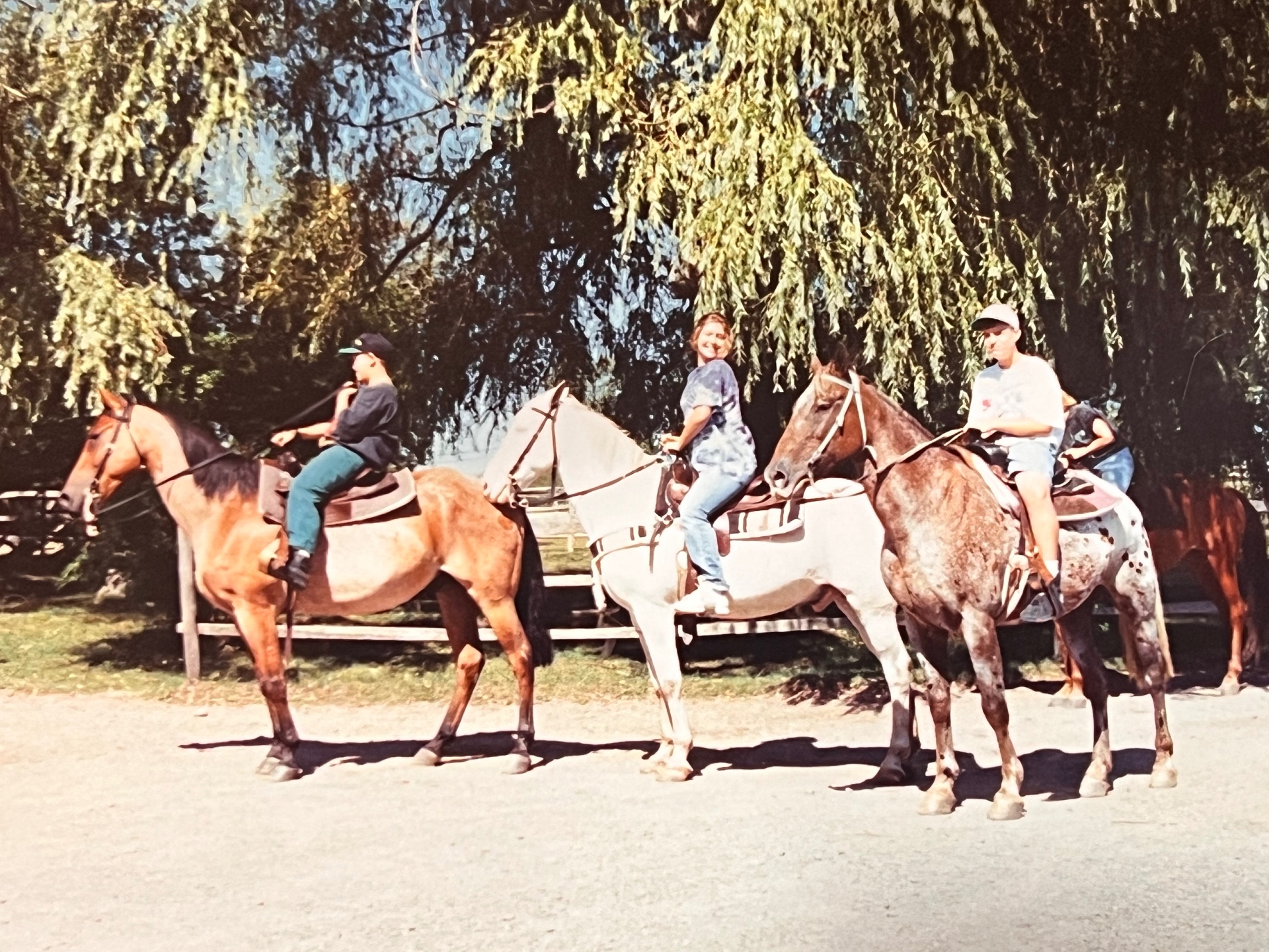 Riding horses with our favorite cousins — three in a row under the willow tree, saddled up and smiling