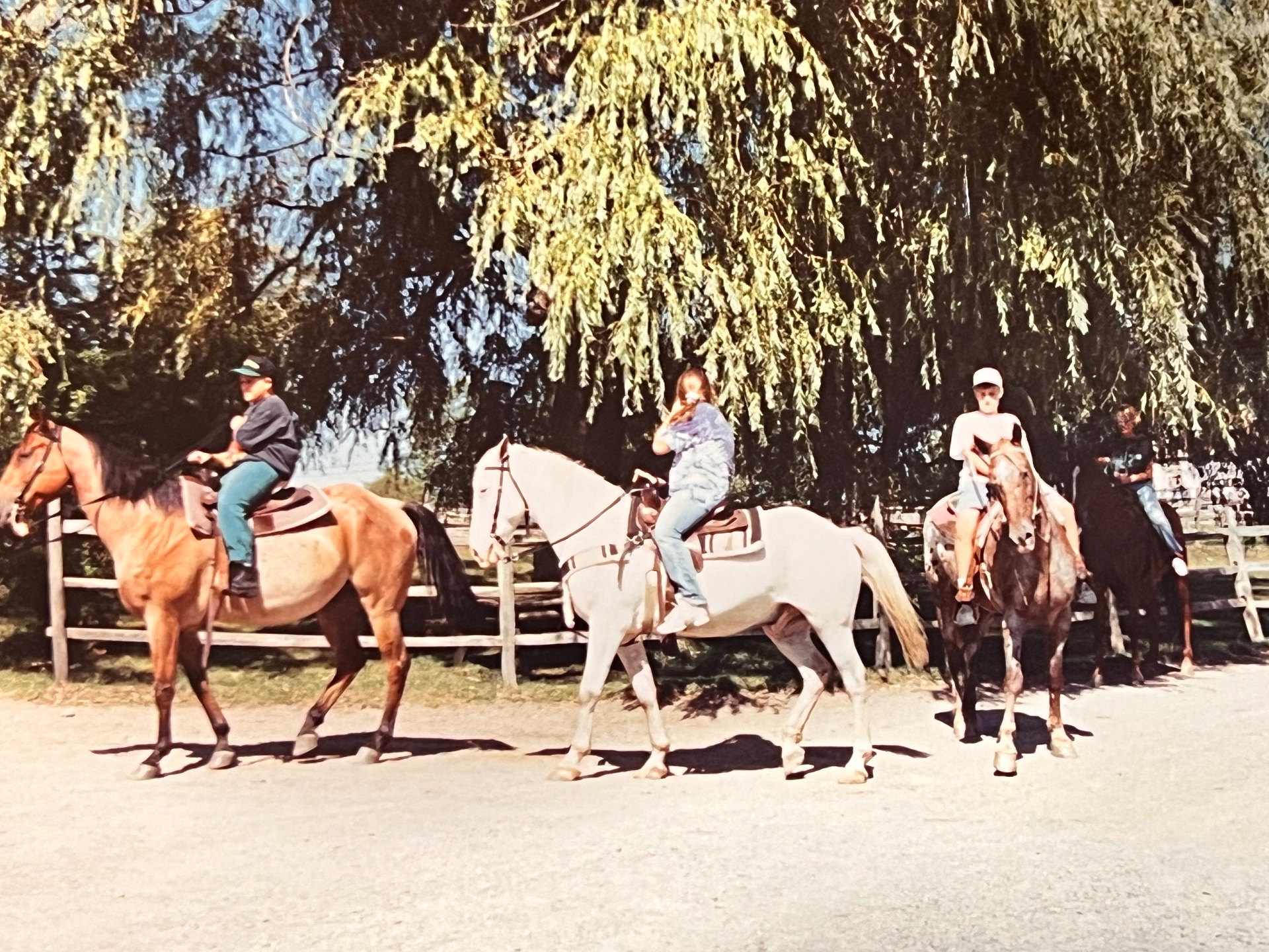 Sunlit afternoon in the saddle — cousins side by side, one of those perfect summer days