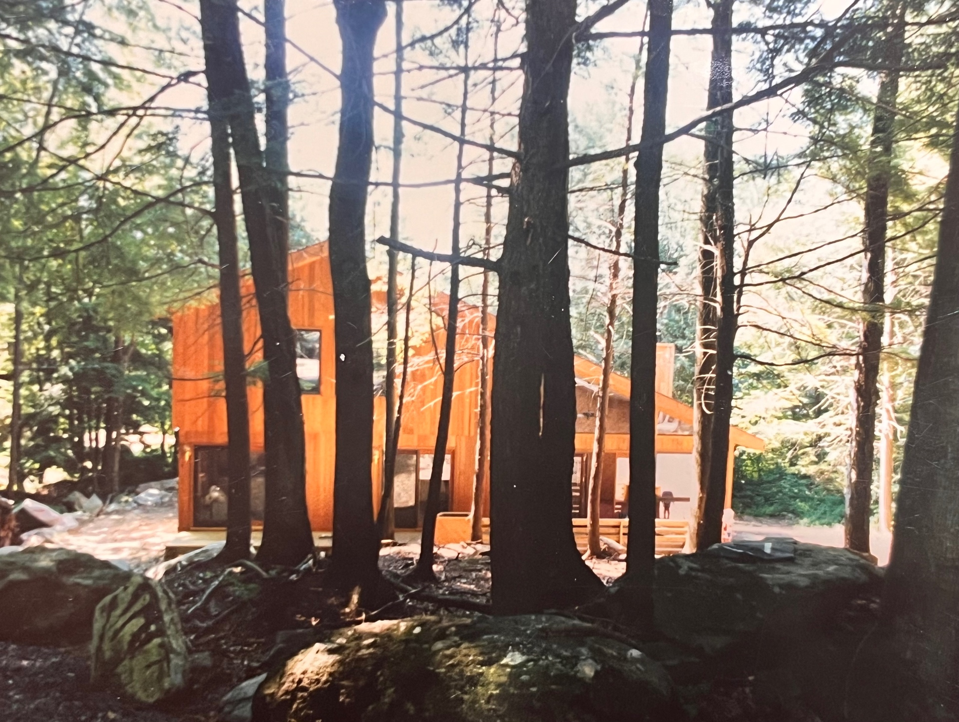 Golden hour through the trees — The Hideout in its earliest days, glowing like a lantern in the forest